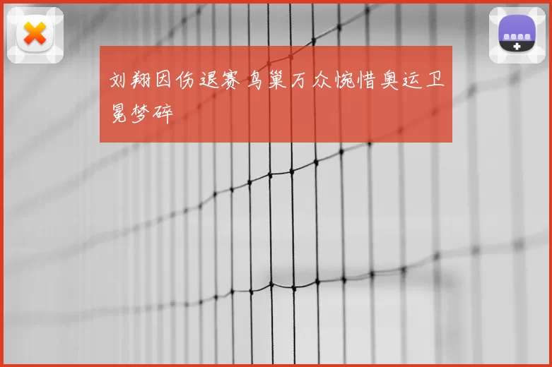 刘翔因伤退赛鸟巢万众惋惜奥运卫冕梦碎